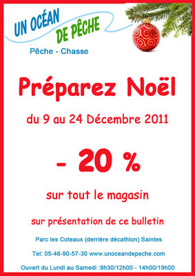 Noel-2011-web.jpg