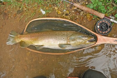 DSC_0167 copie.jpg