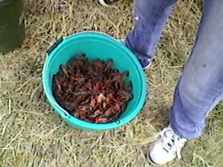Img638D00C6.jpg