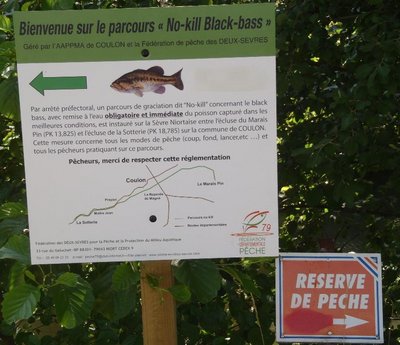 coulon exemple.jpg