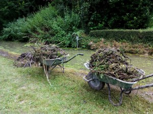 Brouettes de déchets verts                                 