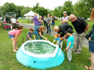 Fête de la pêche 2018, Île de la Grenouillette