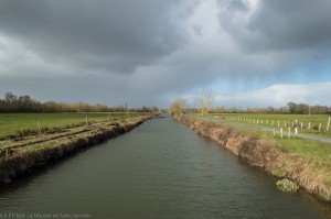 Canal du Moussard                 